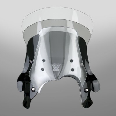 Bmw g650gs tall windshield #2
